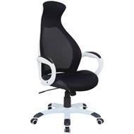 Кресло офисное Brabix Premium Genesis EX-517 (пластик белый, ткань/экокожа/сетка черная) в Екатеринбурге